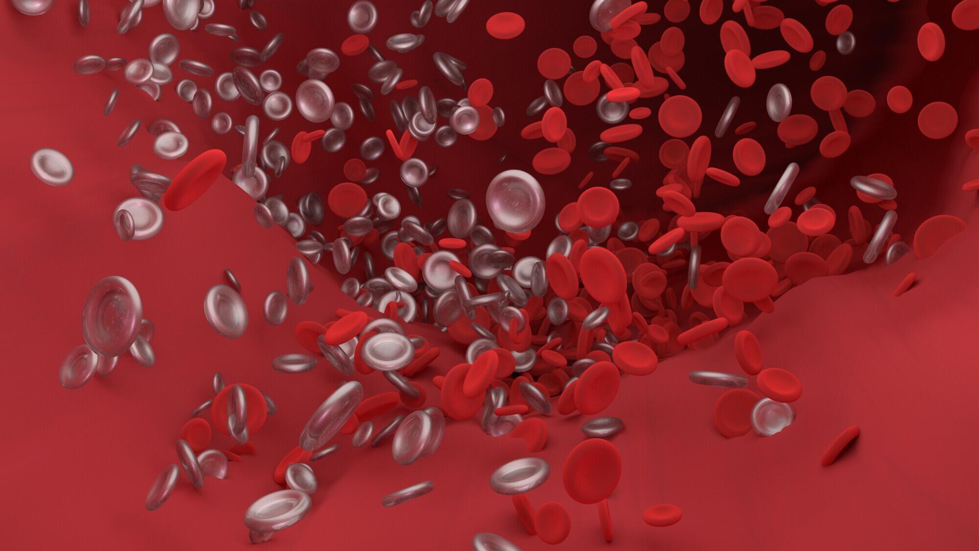 Does Getting Blood Drawn Hurt? Understanding the Process - Precision Labs