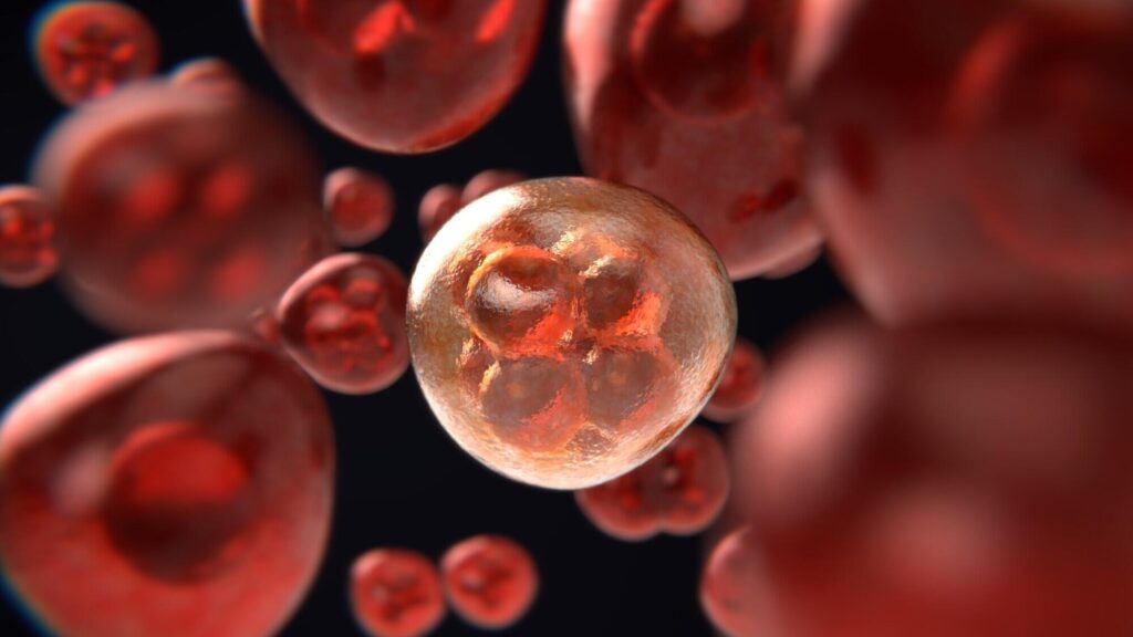 Do Blood Tests Find Cancer: What You Need to Know