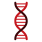 Molecular Testing Services
